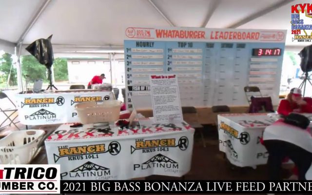 Big Bass Bonanza – Live Stream