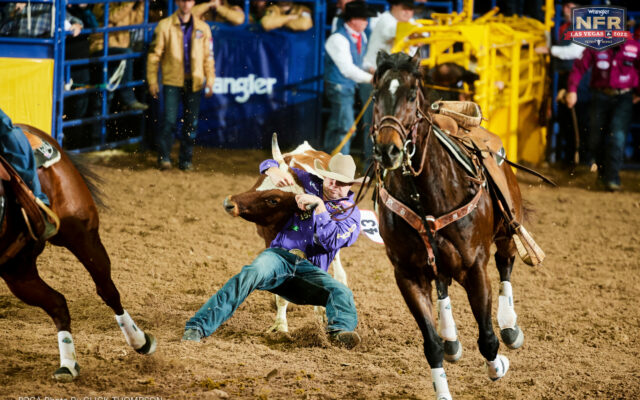 Steer wrestler Tyler Waguespack claims fourth world crown at the NFR 2022